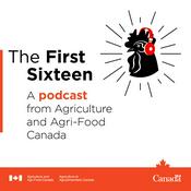 Podcast The First Sixteen