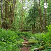 Podcast The forest keeps