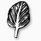 Podcast The Local Food Report