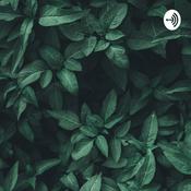 Podcast The Social House