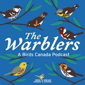 Podcast The Warblers by Birds Canada