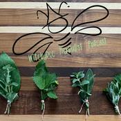 Podcast The WitchyBee Herbalist