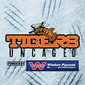 Podcast Tigers Uncaged