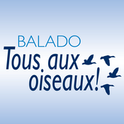 Podcast Tous aux oiseaux!