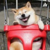 Podcast Travel or Quarantine?