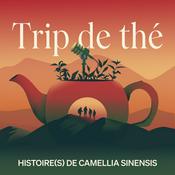 Podcast Trip de thé - Histoire(s) de Camellia Sinensis