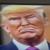 Podcast Trump Farting