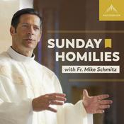 Podcast Sunday Homilies with Fr. Mike Schmitz