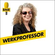 Podcast Werkprofessor | BNR