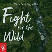 Podcast Wild Sounds: Voice of the Iceberg