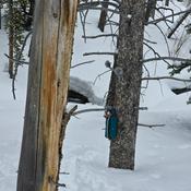 Podcast Wilderness Soundscapes