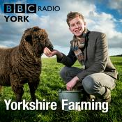 Podcast Yorkshire Farming