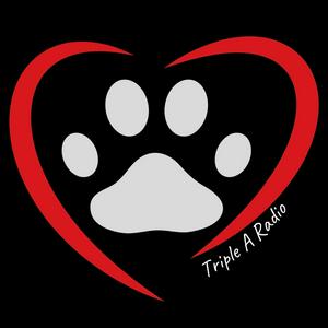 All About Animals