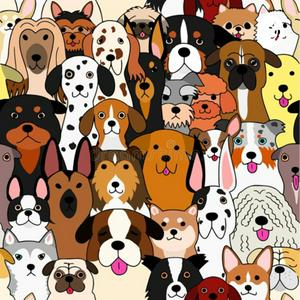 Animal Minds