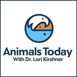 Listen to Animals Today Radio in the App