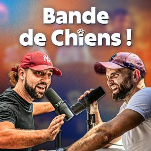Bande de Chiens !