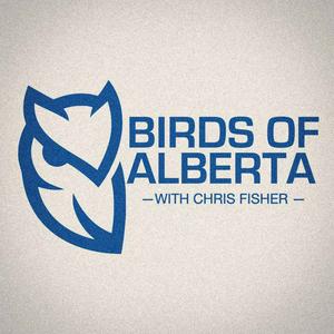 Listen to Birds of Alberta with Chris Fisher in the App