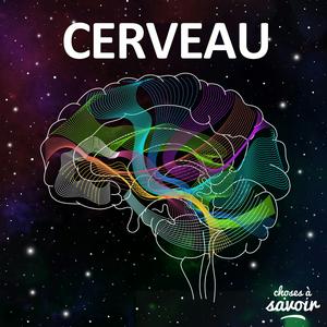 Listen to Choses à Savoir CERVEAU in the App