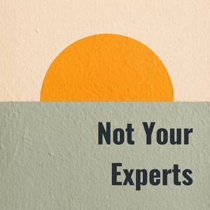 Not Your Experts: Business