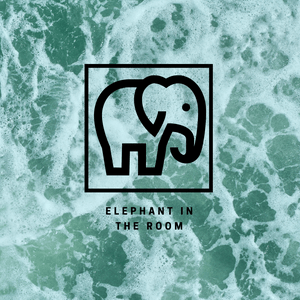 Elephant in the Room