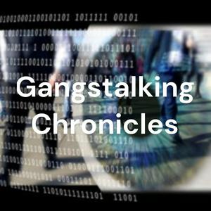 Gangstalking Chronicles