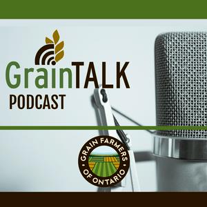 Listen to GrainTALK in the App