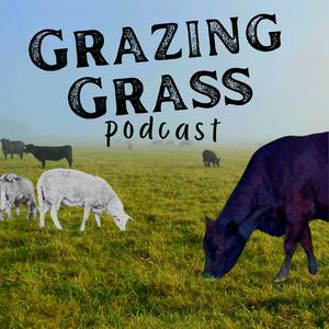 Listen to Regenerative Ag Stories on the Grazing Grass Podcast in the App