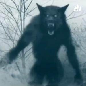 Listen to In The Dark (Bigfoot, Dogmen, Aliens, All Things Supernatural) in the App