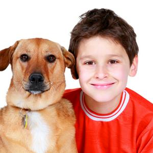 Mans Best Friend