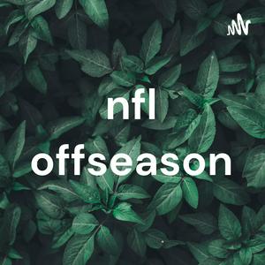nfl offseason