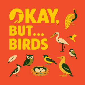 Okay, But... Birds