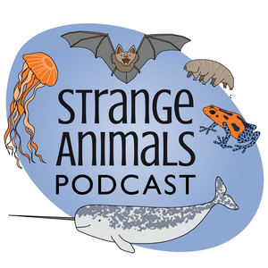 Listen to Strange Animals Podcast in the App