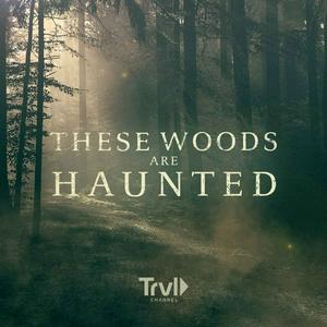 Listen to These Woods Are Haunted in the App