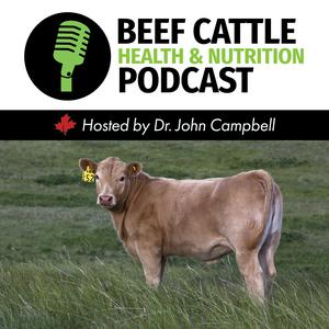 Listen to The Beef Cattle Health and Nutrition Podcast in the App