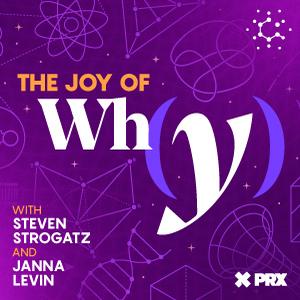The Joy of Why