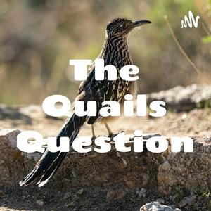 The Quails Question