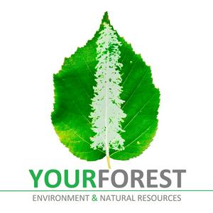 Listen to YourForest in the App